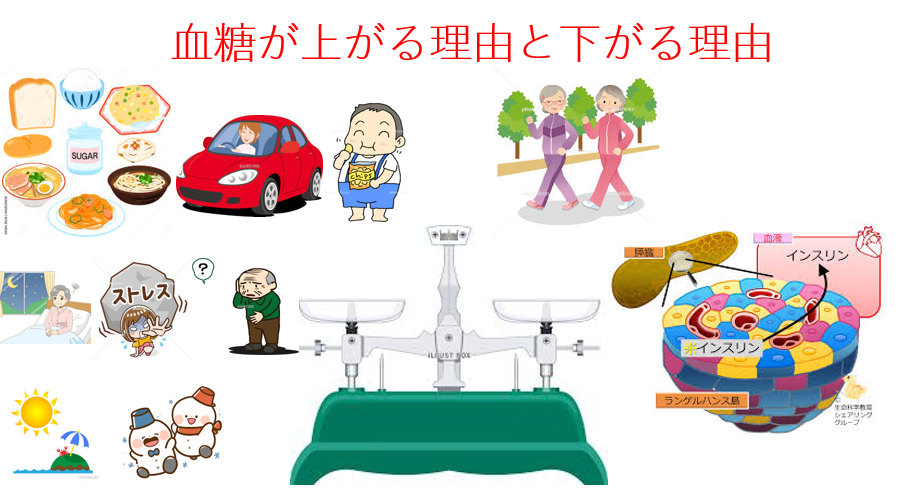 血糖を良くする方法(血糖が上がる理由下がる理由）